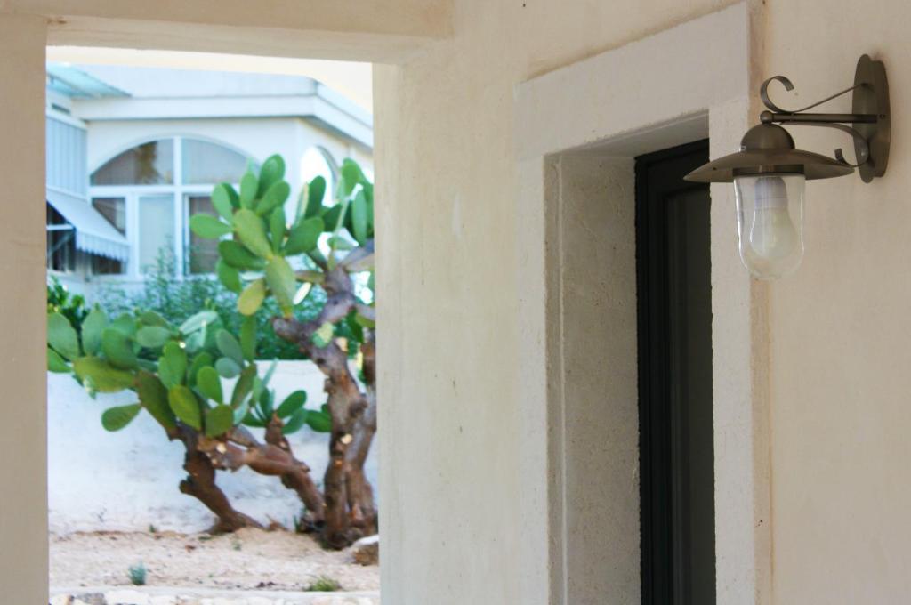 B&B Margherita Ostuni Εξωτερικό φωτογραφία